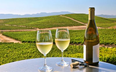 Exploring Napa Valley’s Bounty: A Guide to the Diverse Wines of California’s Premier Region with ABW Travel Agency, LLC
